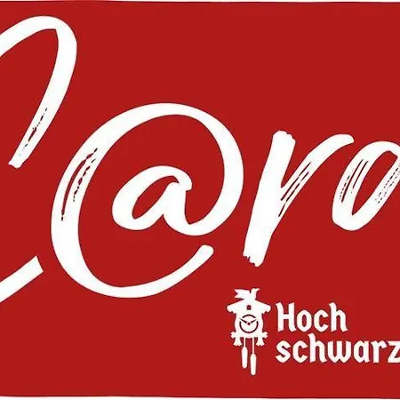 Apartment Monteurwohnung Langzeit Feldberg (Baden-Wurttemberg)